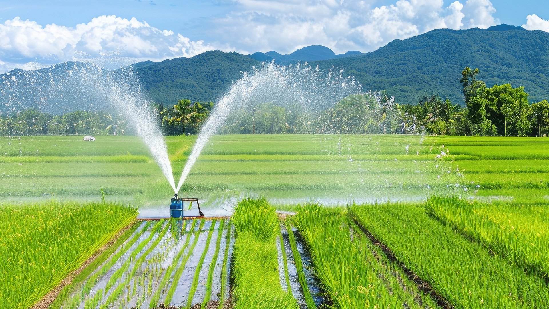 Why Farmers Need High-Quality Pumps in Winter | Pacer Pumps' Cold ...