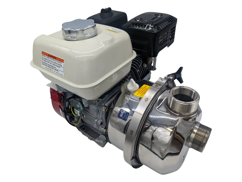 Pacer IPW Series pump